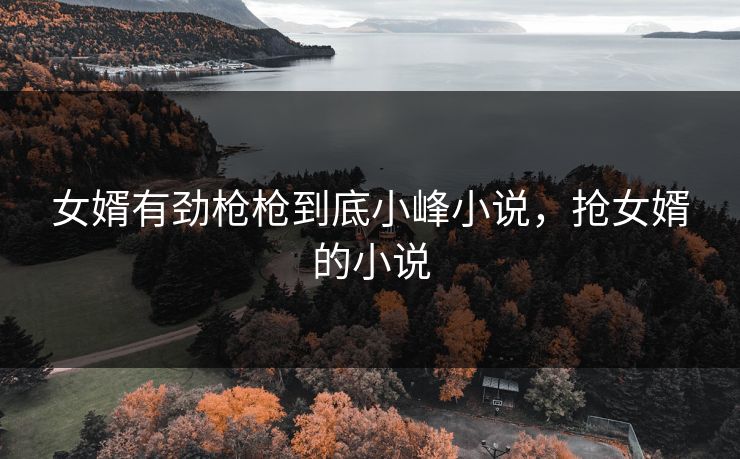 女婿有劲枪枪到底小峰小说，抢女婿的小说