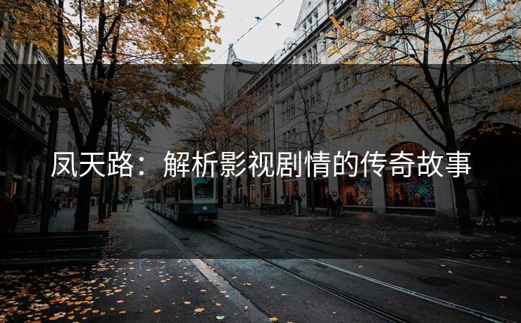 凤天路：解析影视剧情的传奇故事