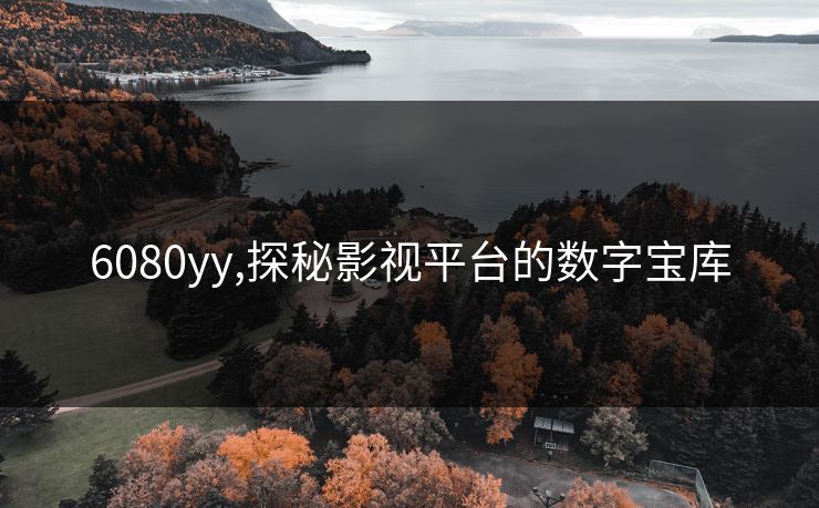 6080yy,探秘影视平台的数字宝库 6080yy,探秘影视平台的数字宝库